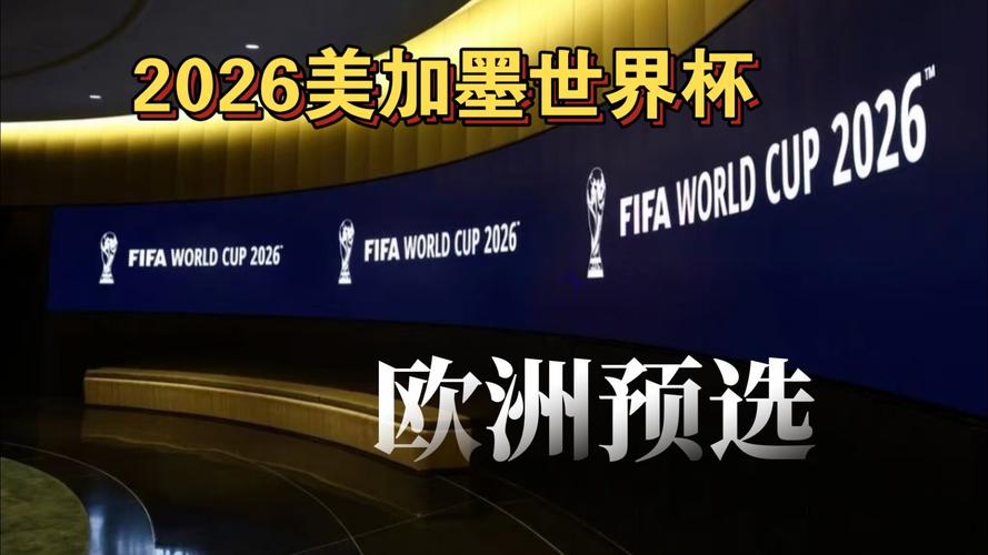 马来西亚王储：国际足联对违规归化的制裁更像是出于政治动机（马来西亚王储称国际足联对违规归化的处罚疑受政治因素驱动）